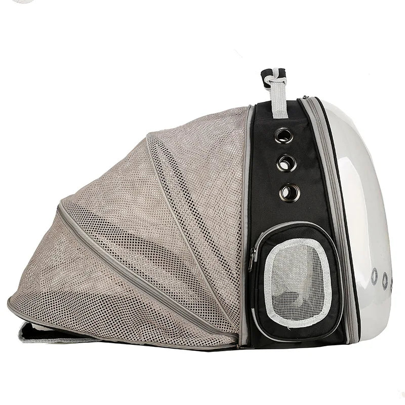Cat bag Backpack