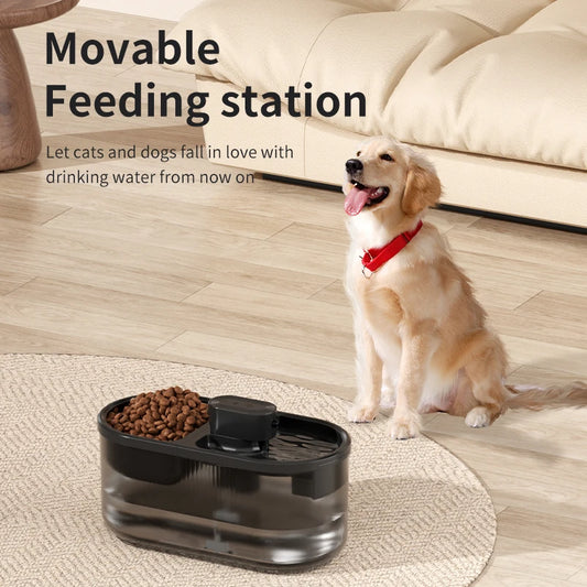 2-in-1 Intelligent Drinking And Feeding Machine