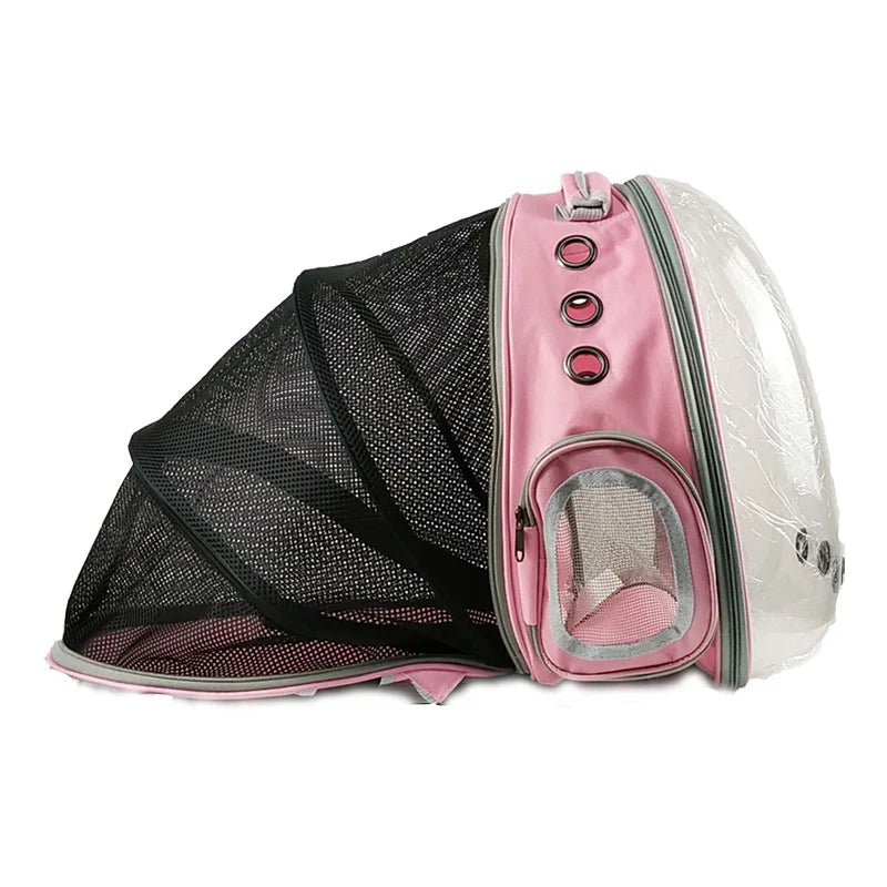 Cat bag Backpack