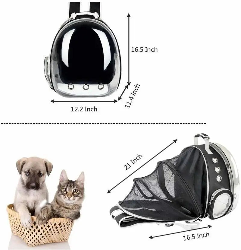Cat bag Backpack