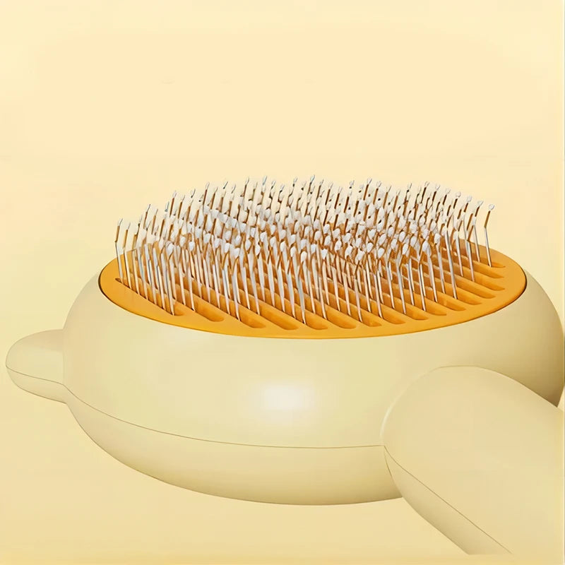 Hair Removal Brush