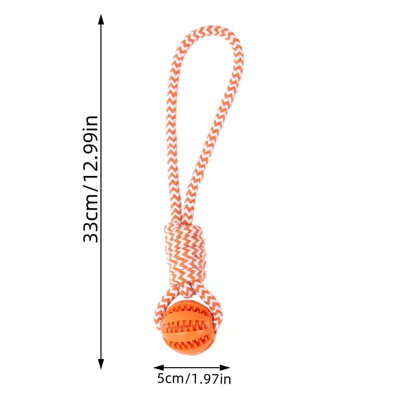 Dog Ball Toy