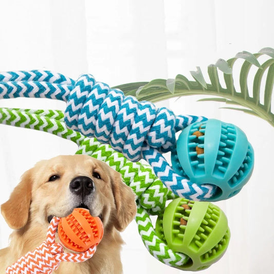 Dog Ball Toy